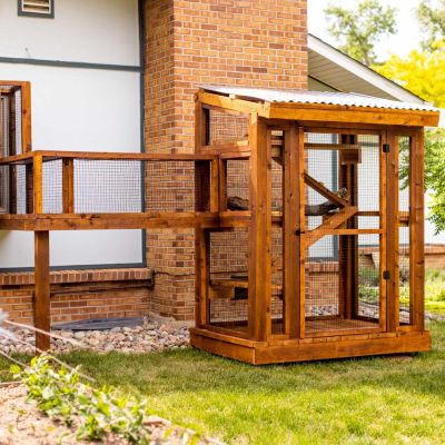 catio x
